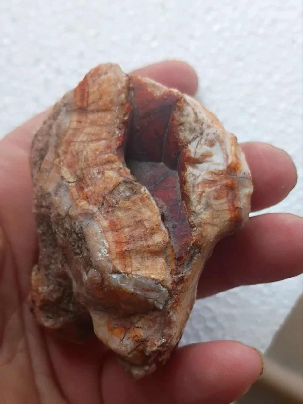 Natural Orange-Brown Reptile Hideaway Rock - Unbranded